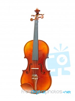 Violin Stock Photo