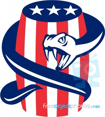 Viper Coiling Up Keg Usa Flag Retro Stock Image