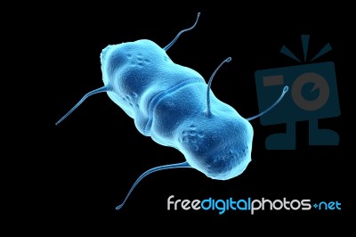 Virus Stock Image