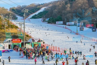 Vivaldi Park Ski Resort  In Korea Stock Photo