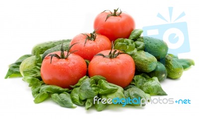 Vivid Wet Ripe Tomatoes Stock Photo