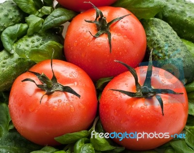 Vivid Wet Ripe Tomatoes Stock Photo