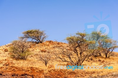 Volcanic Landscape On Maui Island In Hawaii Stock Photo