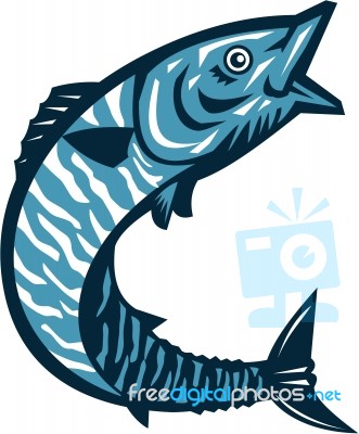 Wahoo Fish Jumping Isolated Retro Stock Image