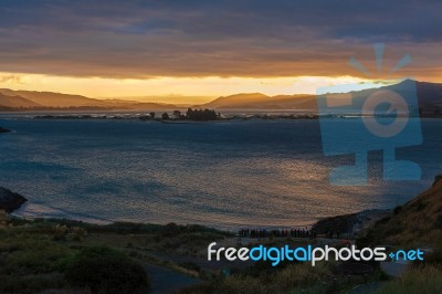 Waiting For The Penguins To Arrive Stock Photo