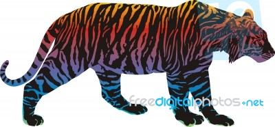 Walking Tiger Stock Image