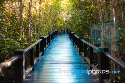 Walkway Bridge In Mangrove Pranburi, Prachuap Khiri Khan Province, Thailand Stock Photo