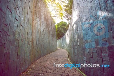 Walkway In Park Stock Photo