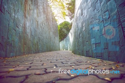 Walkway In Park Stock Photo