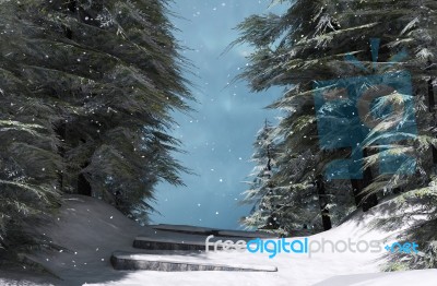 Walkway In Pine Woods In Winter Season,3d Rendering Stock Image