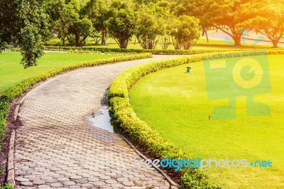 Walkway In The Park Stock Photo