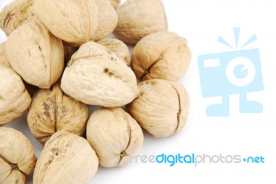 Walnuts On White Stock Photo