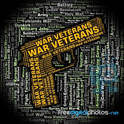 War Veterans Indicates Long Service And Combat Stock Image