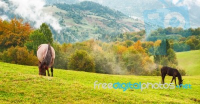 Warm Autumn Evening In Mountains Stock Photo