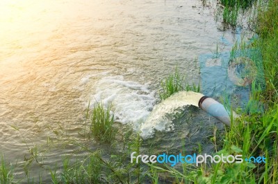 Warning River Sugar Cane And Sun Stock Photo