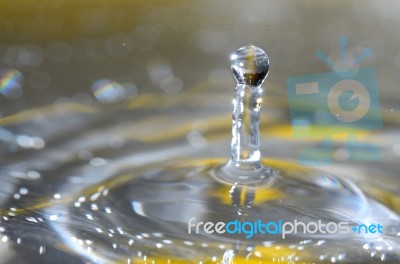 Water Drop Stock Photo