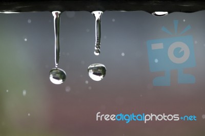 Water Drops In Rainy Day Stock Photo