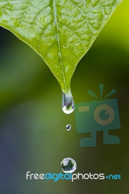 Water Drops In Rainy Day Stock Photo