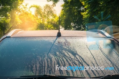 Water Drops On Bronze Car - Car Wash Stock Photo