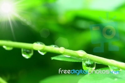 Water Drops Shine In Sun Light Stock Photo