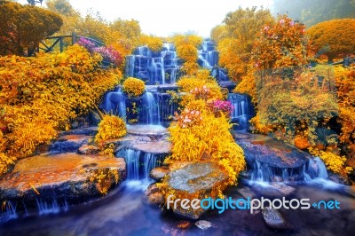 Water Fall Stock Photo