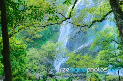 Water Fall In Thailand Stock Photo