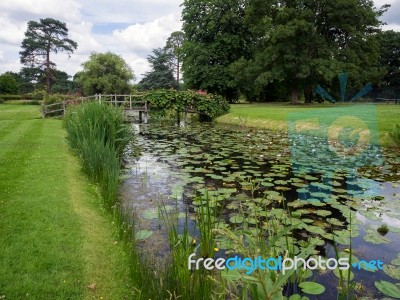 Water Lilies At Hever Castle Stock Photo