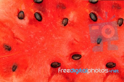 Water Melon Stock Photo