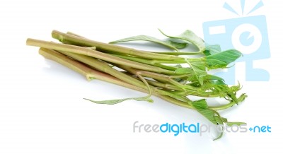 Water Spinach Isolated On The White Background Stock Photo