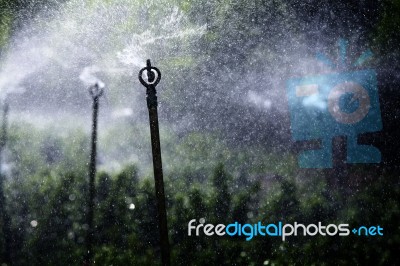 Water Sprinkler Stock Photo