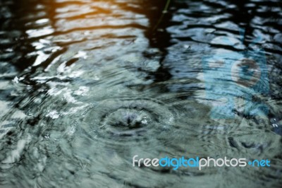 Water Surface With Rain Reflection Stock Photo