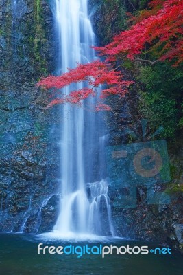 Waterfall With Maple Stock Photo