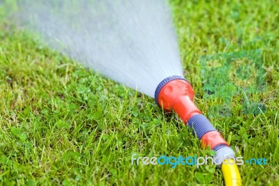 Watering Stock Photo