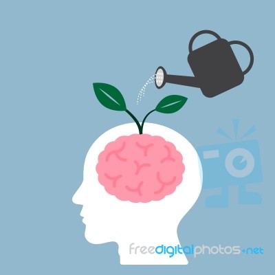 Watering Brain Plant Stock Image