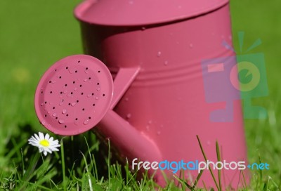 Watering Can Stock Photo