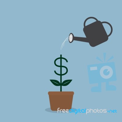 Watering Money Coint Plant Stock Image