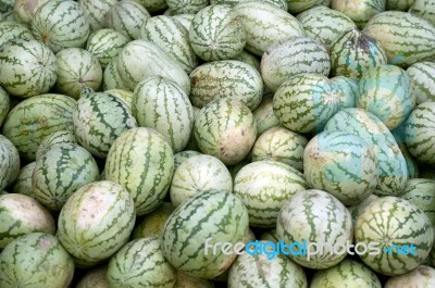 Watermelon Stock Photo