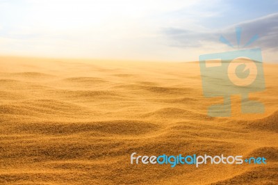 Wave On Desert Stock Photo