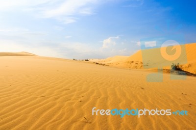 Wave On Desert At Mui Ne, South Vietnam Stock Photo