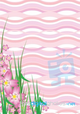 Wavy Sakura Blossom Stock Image