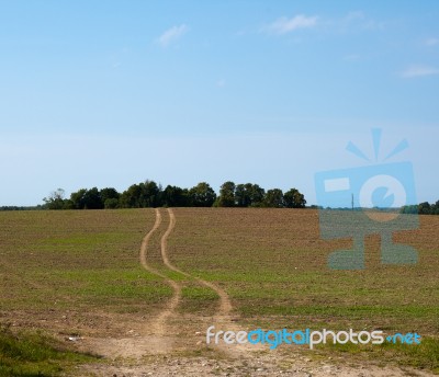 Way In Green Field Stock Photo