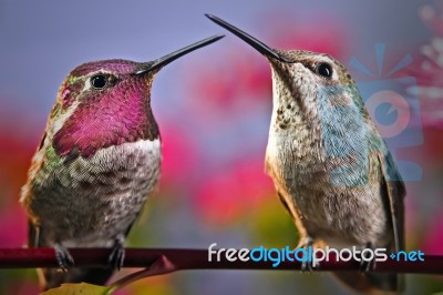 We Love Each Other Stock Photo