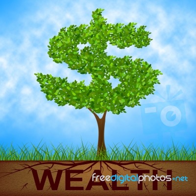 Wealth Tree Shows American Dollars And Branch Stock Image