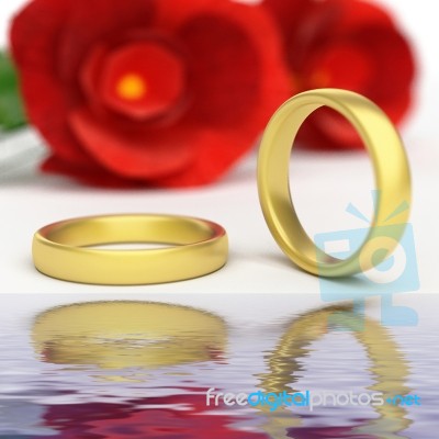 Wedding Rings Represents Reflective Reflect And Wedlock Stock Image