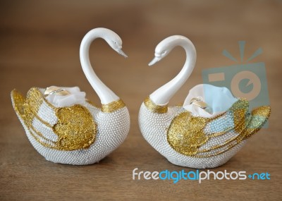 Wedding Swans Stock Photo