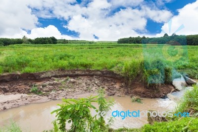 Weir In The Cultivated Area Stock Photo