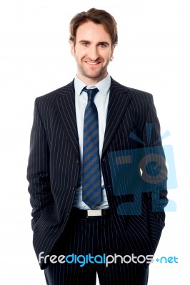 Well Dressed Male Business Executive Stock Photo