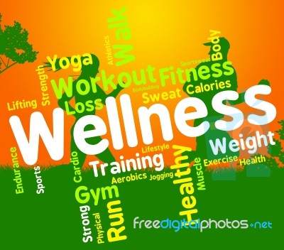 Wellness Words Indicates Health Check And Care Stock Image