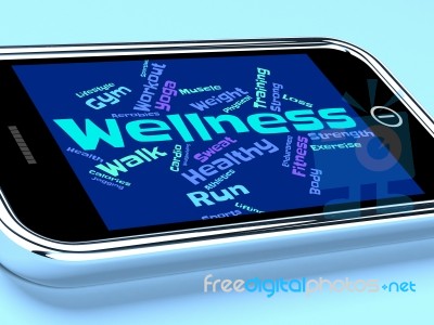 Wellness Words Indicates Health Check And Healthcare Stock Image