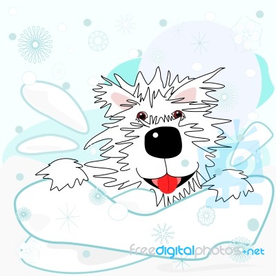 Westie In The Snow Stock Image